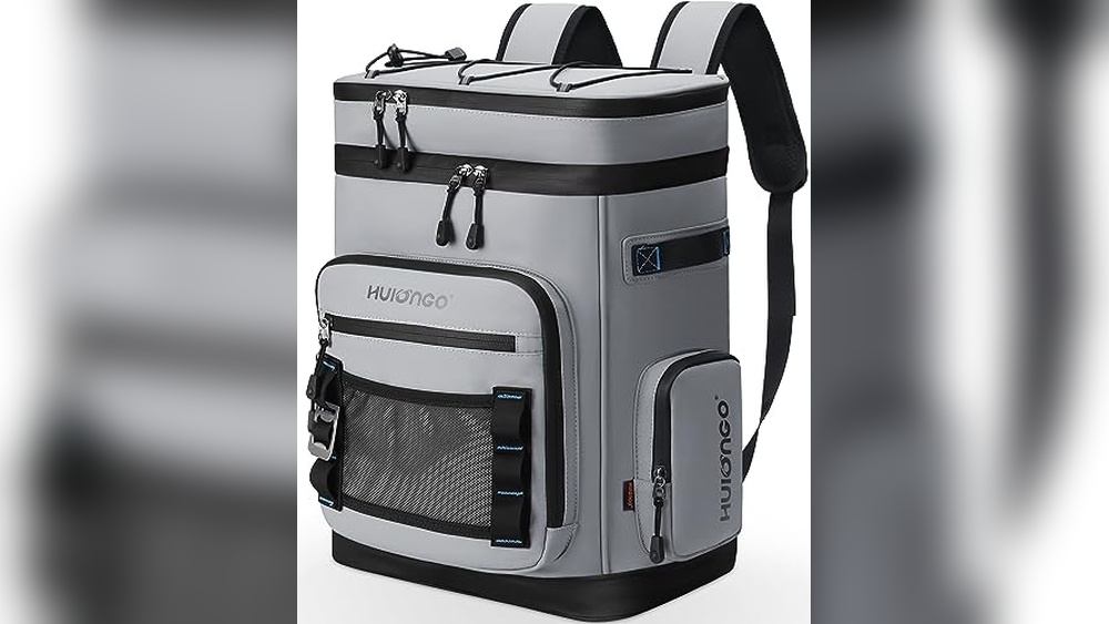 Best Beach Cooler​