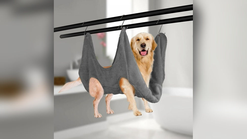 Does Hammocks Really Help With Cutting Dogs Nails