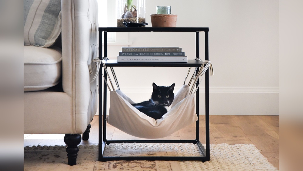 How to Make a Cat Hammock