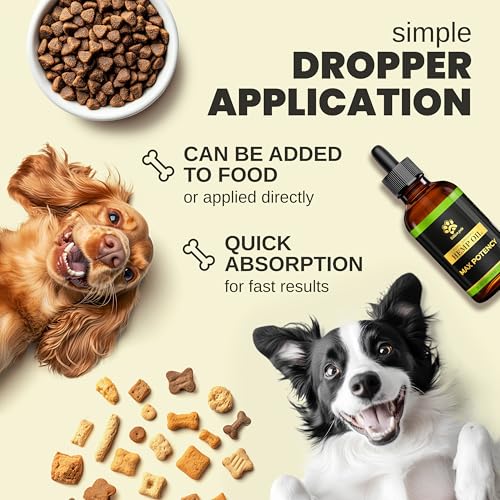 Hemp Oil For Dogs & Cats