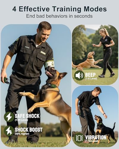 Remote Control Dog Shock Collar