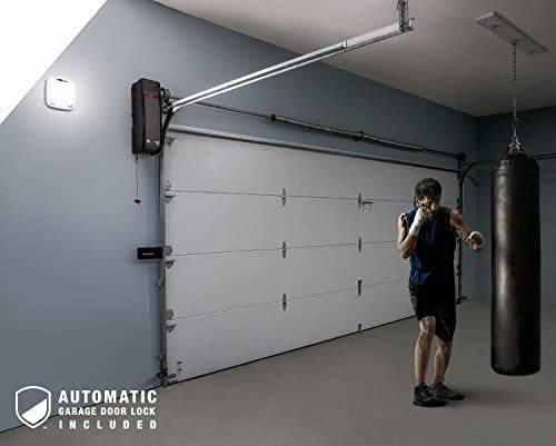 LiftMaster Door Opening Systems
